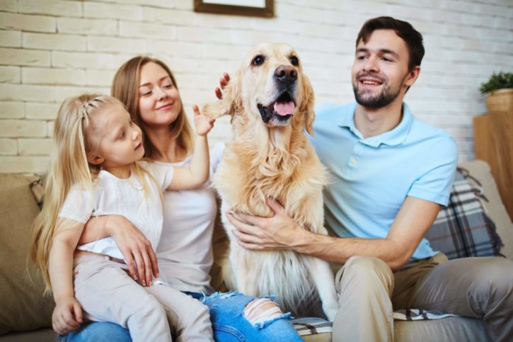 Tout savoir sur l’assurance animaux en Suisse Assurance animaux Suisse